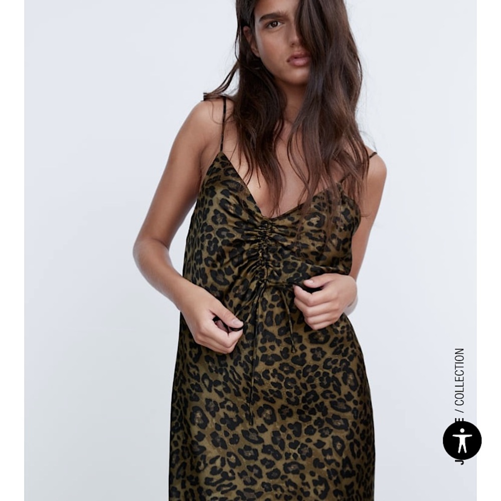 Animal Print Mini Dress